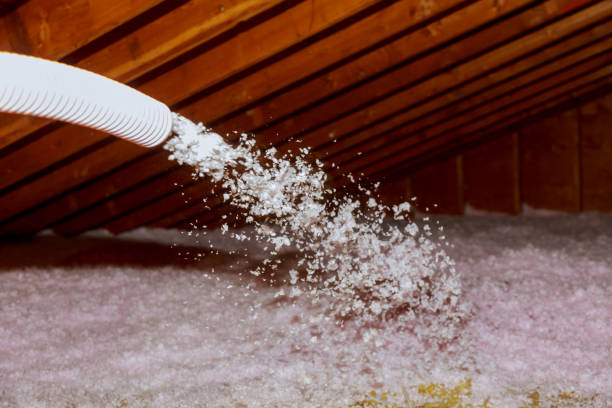 Best Attic Insulation Installation  in Bally, PA