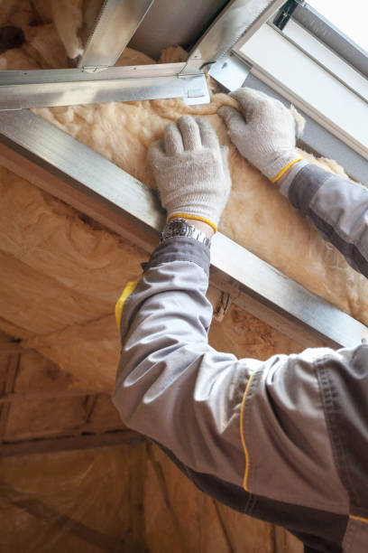 Best Home Insulation Services  in Bally, PA