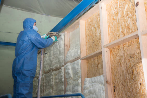 Best Professional Insulation Contractor  in Bally, PA