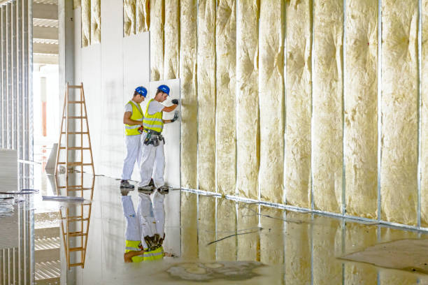 Insulation Contractors for Homes in Bally, PA